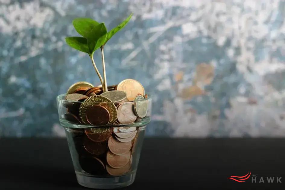 Factors to Consider When Choosing Stocks