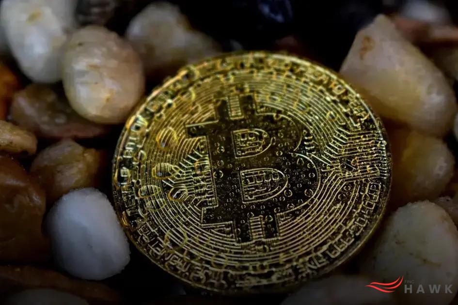 Future Trends in the Financial Industry